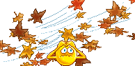 Automne 3